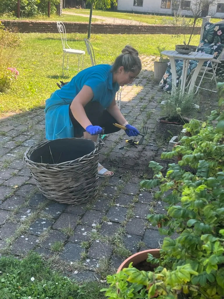 Trädgårdsskötsel och utomhusarbete